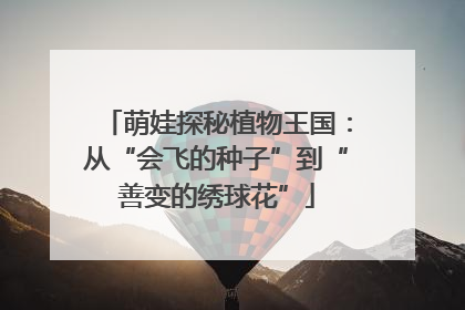 萌娃探秘植物王国：从“会飞的种子”到“善变的绣球花”